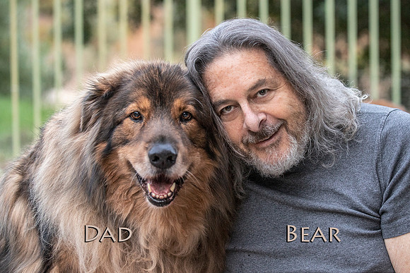 dadbear (New)
