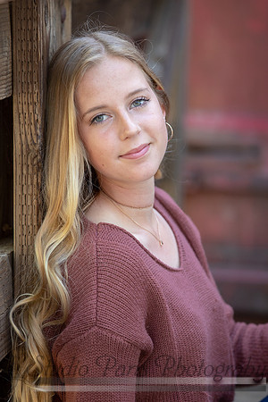 Suzi Holcomb198