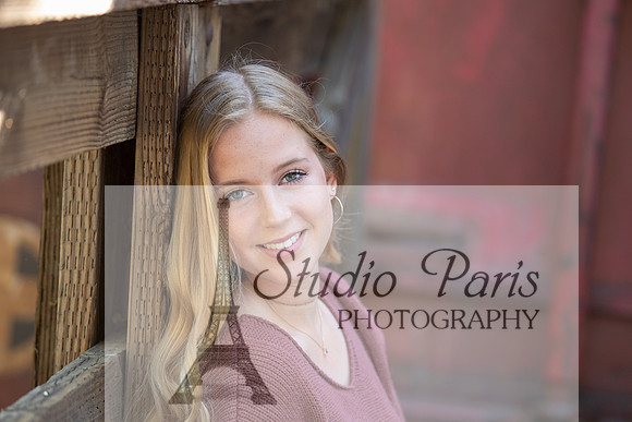 Suzi Holcomb204