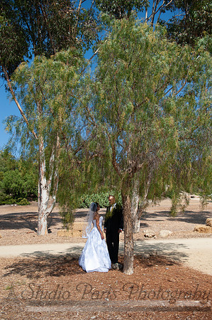 313BeckyRobWED